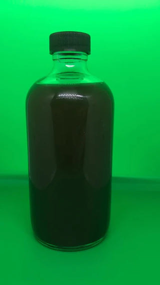 Elderberry Syrup